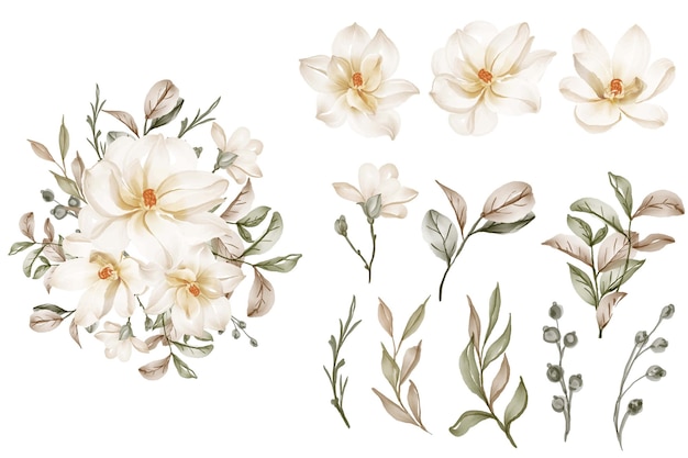 Vector isolated elegant white magnolia flower leaves collection