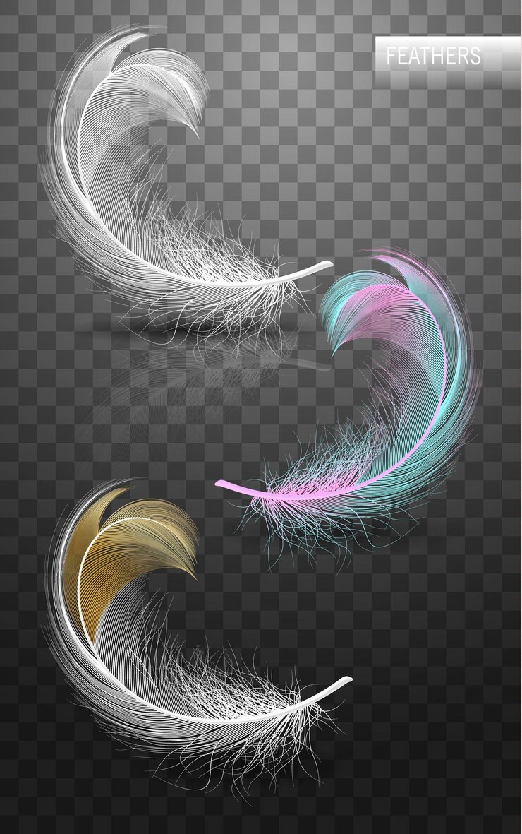 Vector isolated falling fluffy twirled feathers on transparent background in realistic style