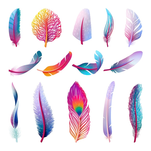 Isolated feather collection Colorful fantasy feathers peacock bird tail element Isolated festive decorative plumage swanky vector collection