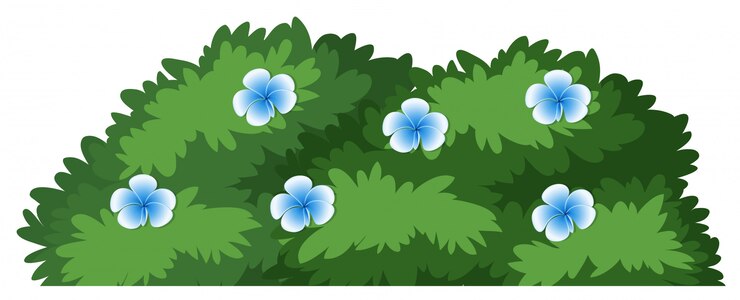 Vector 白色背景上的孤立的花