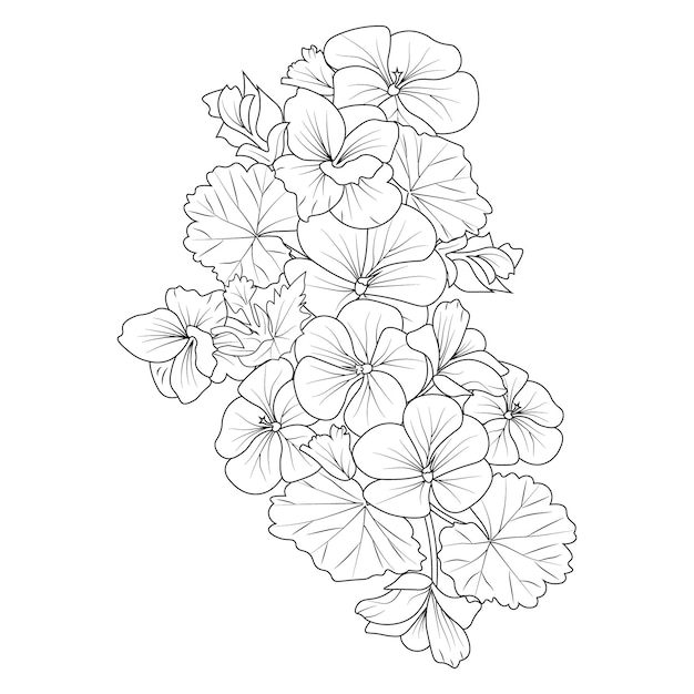 isolated geranium flower coloring page and book hand drawn illustration sketch for kids and adult