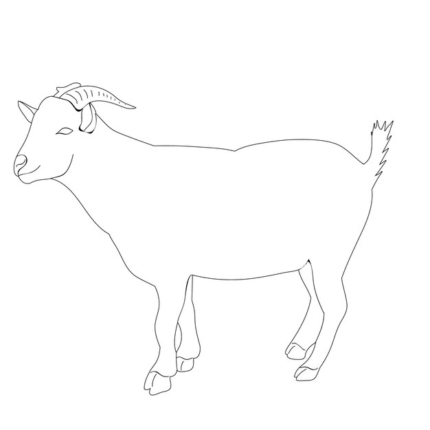Vettore schizzo di capra isolata