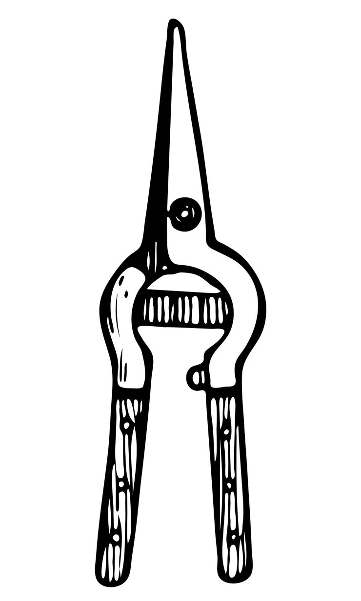 Vector isolated hand drawn vector element in doodle style with cute gardening scissors