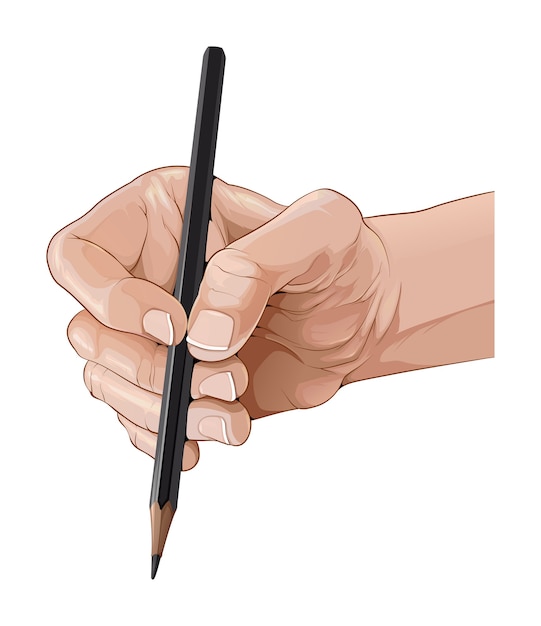 Vettore mano isolata che tiene un'illustrazione della matita