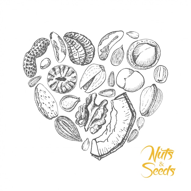 The isolated heart of nuts and seeds