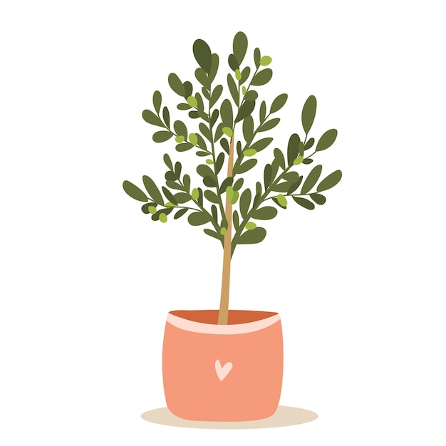 Isolated houseplant on white background. Olive tree plant on white background. Flat vector illustration