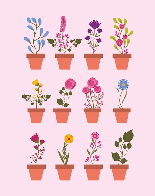 Isolated houseplants inside pots vector 