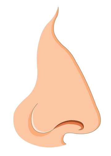 caricature male nose