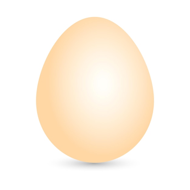 Vettore immagine isolata di un uovo per pasqua e cibo