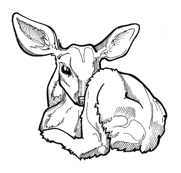 Vector isolated image of a little deer sleeping curled up