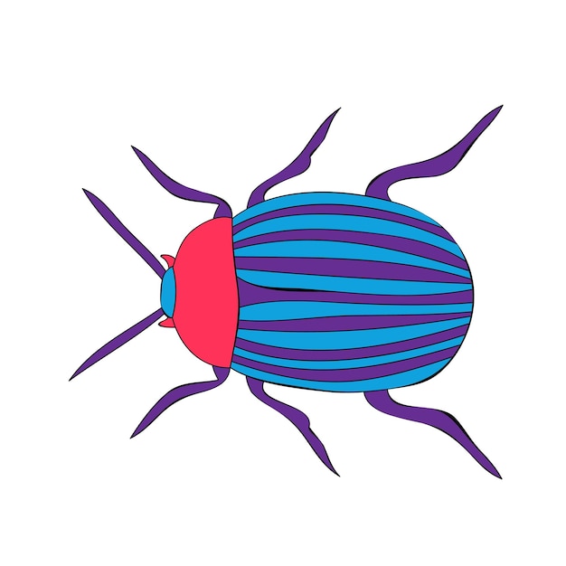 Isolated insect multicolored beetle