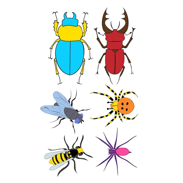 Vector isolated insects beetles set