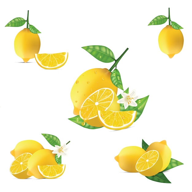 Isolated lemon vector set