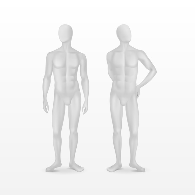 Vector isolated male mannequins