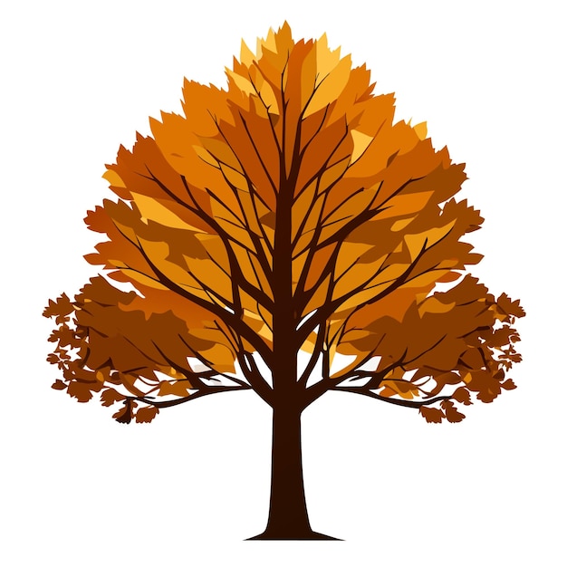 Isolated Maple Tree Digital Vector Graphic in Detailed Style on White