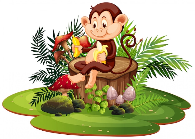 Vector isolated monkey in nature