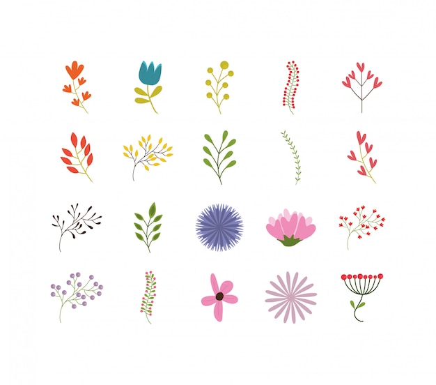 Isolated natural flowers and leaves set 