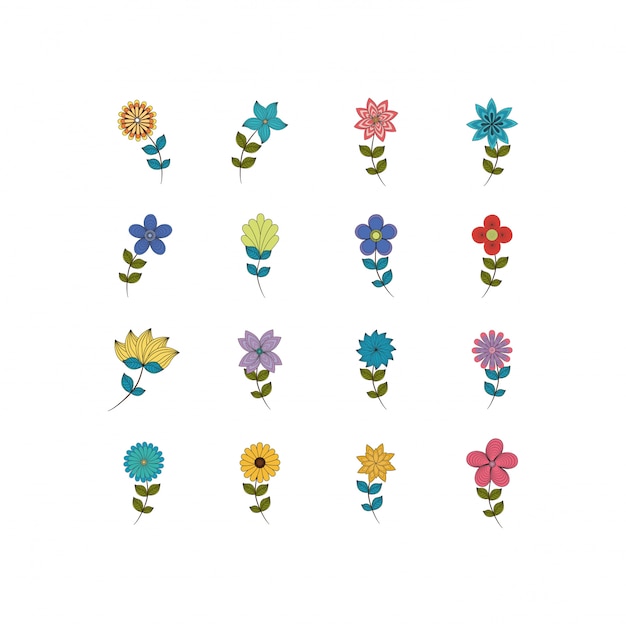 Isolated natural flowers set
