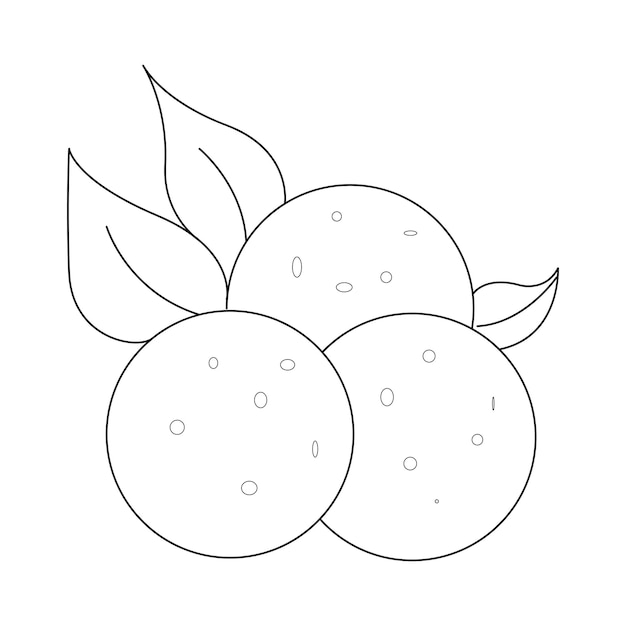 isolated outline of plum fruit, illustration - plum vector isolated on white background.