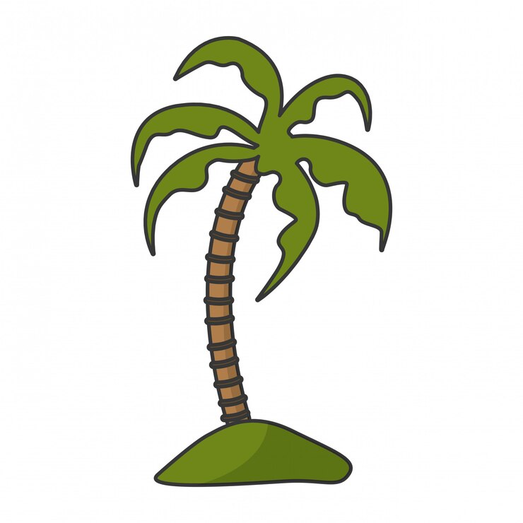 Vector isolated palm tree