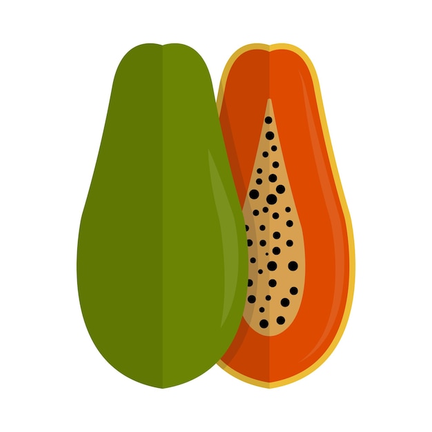 Vector isolated papaya illustration - popular asian fruit especially in indonesia