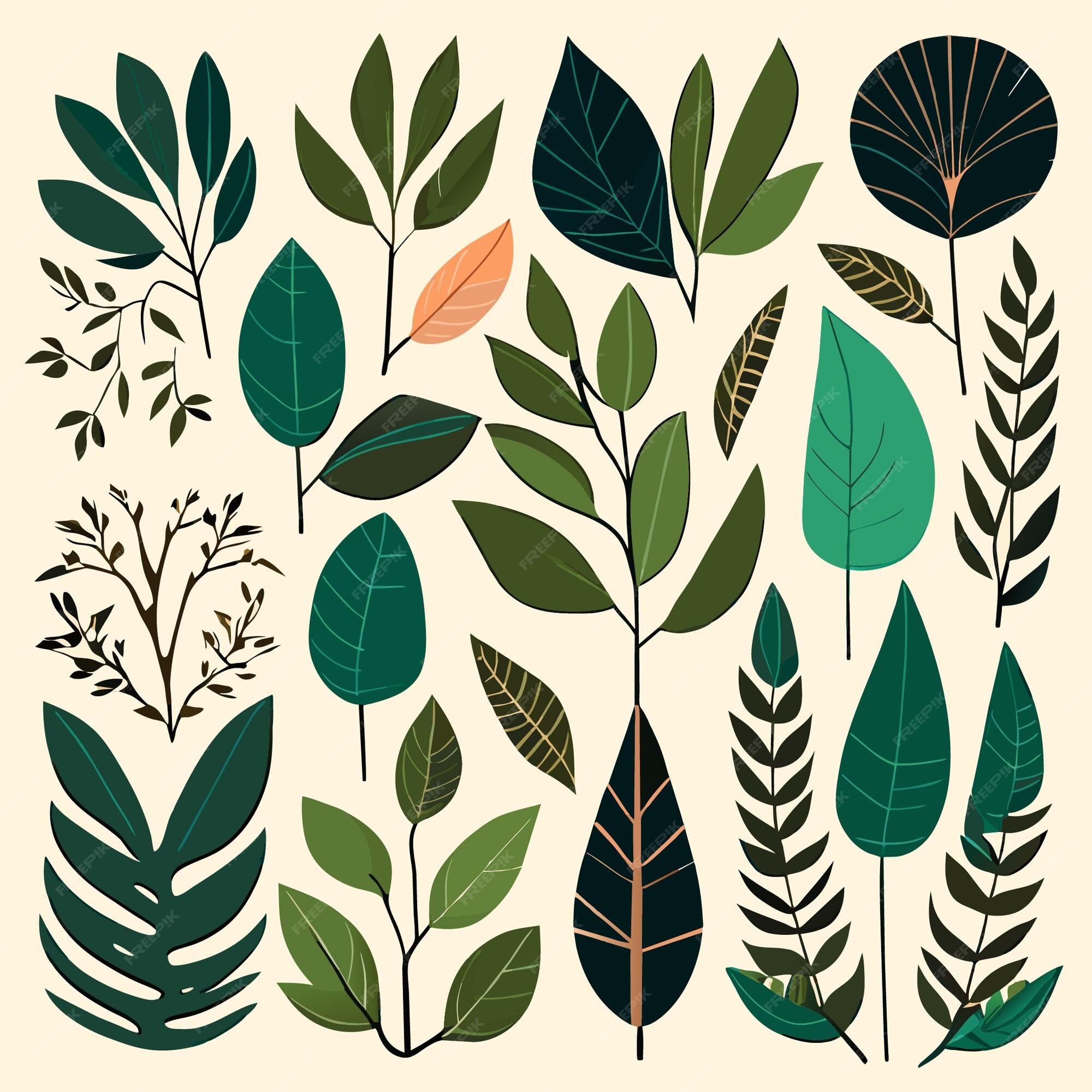 Premium Vector | Isolated rainforest leaf artistry