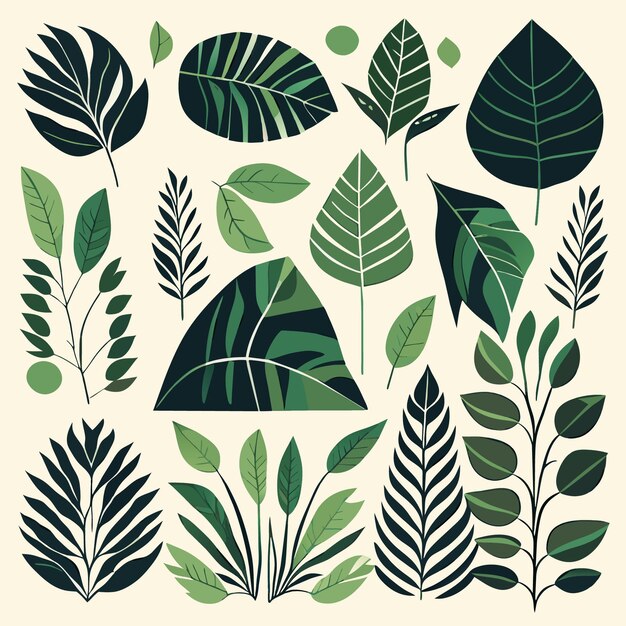 Vector isolated rainforest leaves art