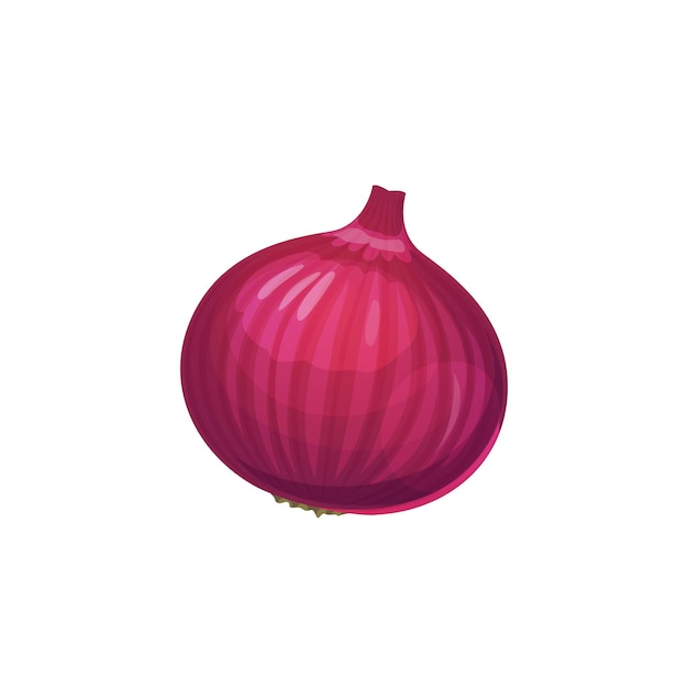 Shallot PNG Transparent Images Free Download, Vector Files