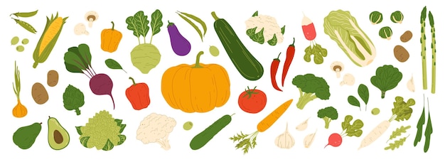 Изолированные сырые овощи еда и вегетарианские овощи векторные иконки морковный огурец и органический лук или баклажаны веганские овощи и фермерские овощи из помидоров зеленая капуста и перец с редисом