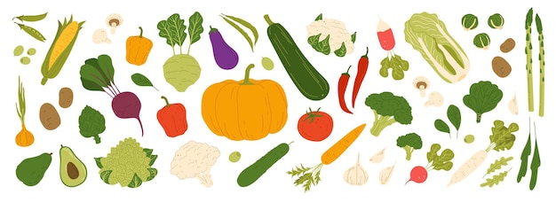 Isolated raw vegetables food and vegetarian veggies vector icons Carrot cucumber and organic onion or eggplant vegan veggies and farm vegetables of tomato green cabbage and pepper with radish