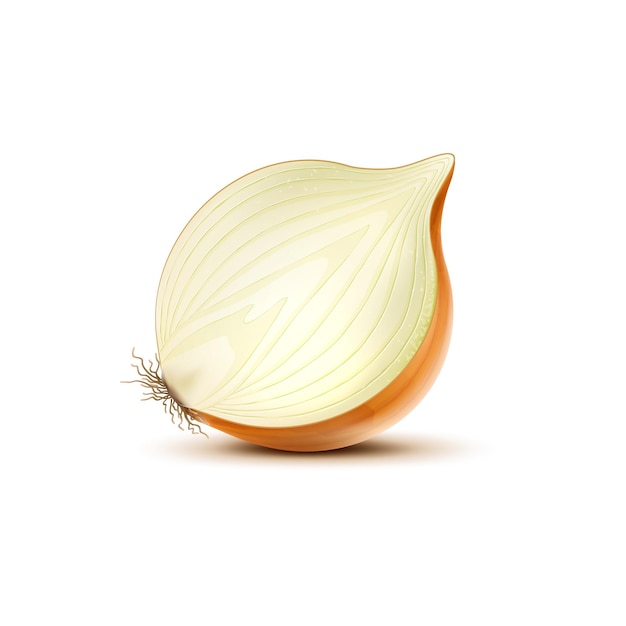 Vector isolated realistic yellow raw onion vegetable half 3d vector halved garden plant fresh ripe veggie with its pungent aroma and layered texture adds a bold savory kick to culinary meals and dishes