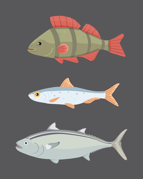 Изолированная речная рыба. набор пресноводных морских мультяшных рыб. фауна океана векторные иллюстрации