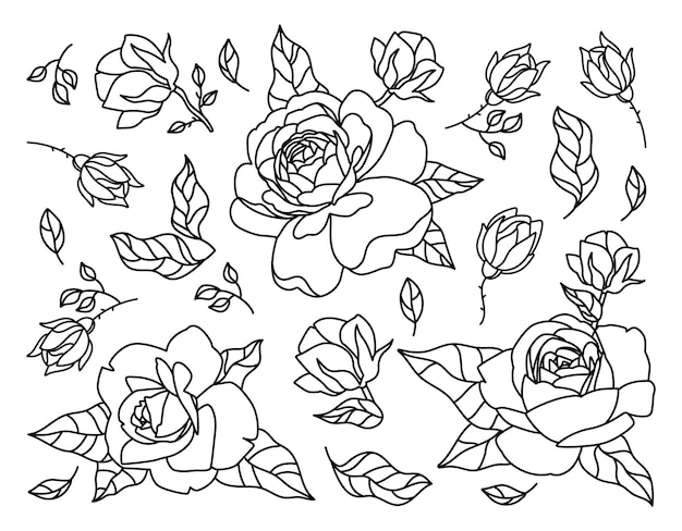 잎 클립 아트와 격리 된 장미 꽃 라인 아트. 장미 장식 손 그리기 꽃 문신