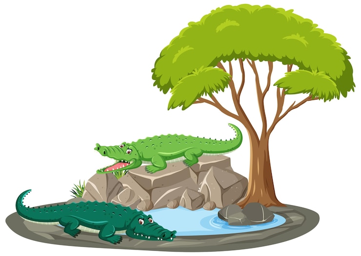Vector isolated scene with crocodile around the pond