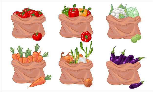 Isolated set of bags in different vegetables.