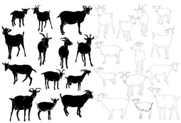 Isolated set of goat silhouettes outline of goat