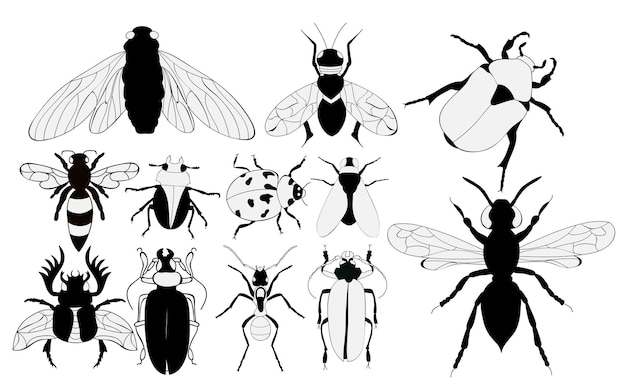 Изолированный набор жуков-насекомых летит черно-белым силуэтом