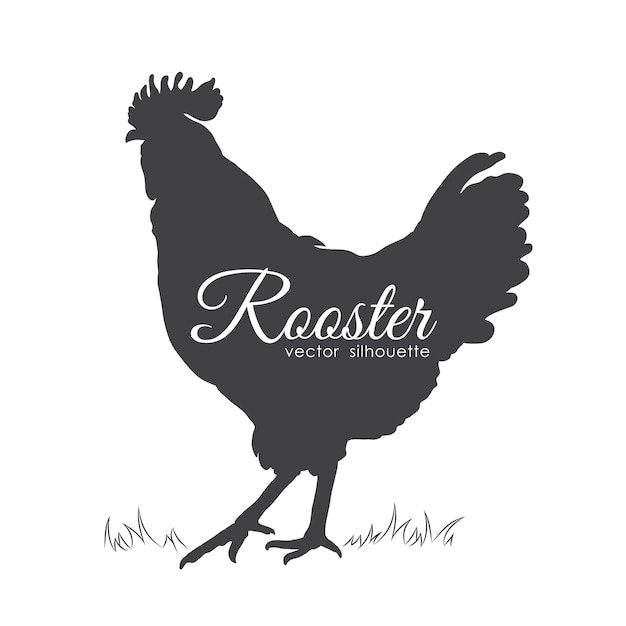 Isolated silhouette of cock on white background.