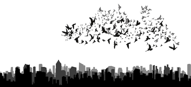 Vector isolated silhouette of flying birds on black city background