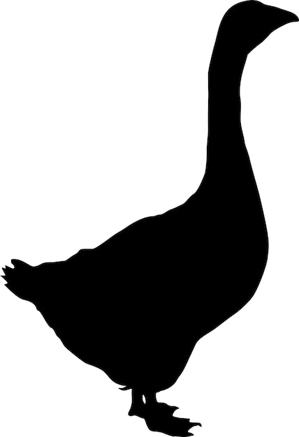 Isolated silhouette of a goose and a text goose. Creative graphic design for a butcher shop, farmer's market. Poster on the theme of animals. Vector Illustration on a white background.