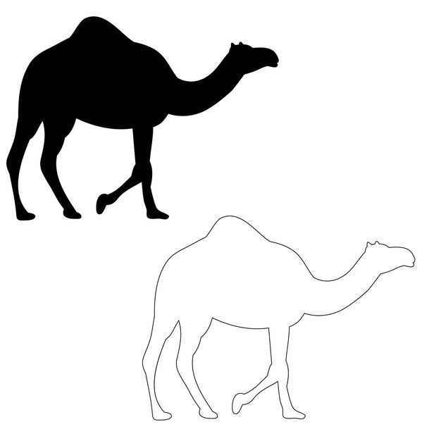 Вектор Изолированный силуэт верблюда на белом фоне