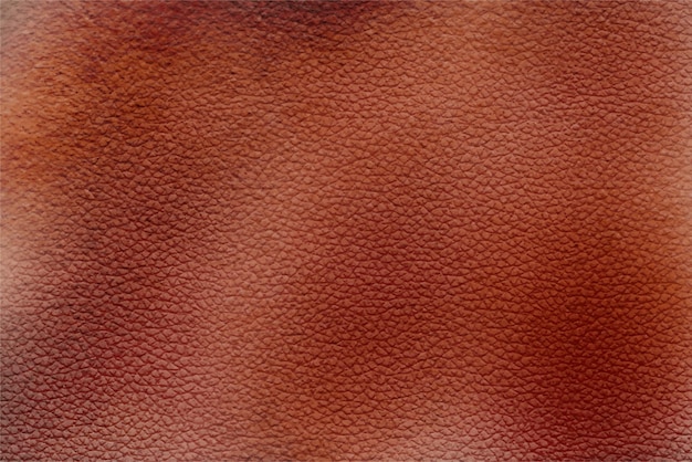 Isolated Skin Texture Vector Background