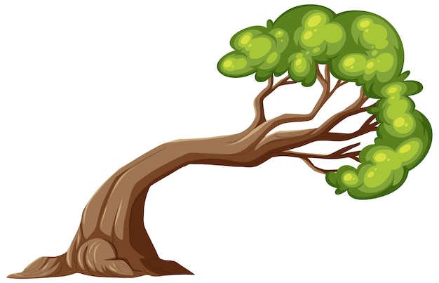 Vector an isolated tree cartoon