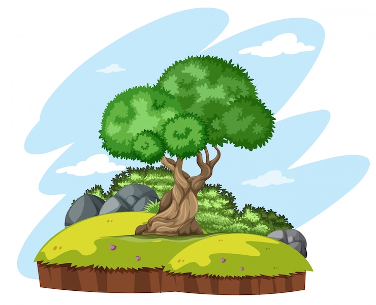 Vector isolated tree in nature