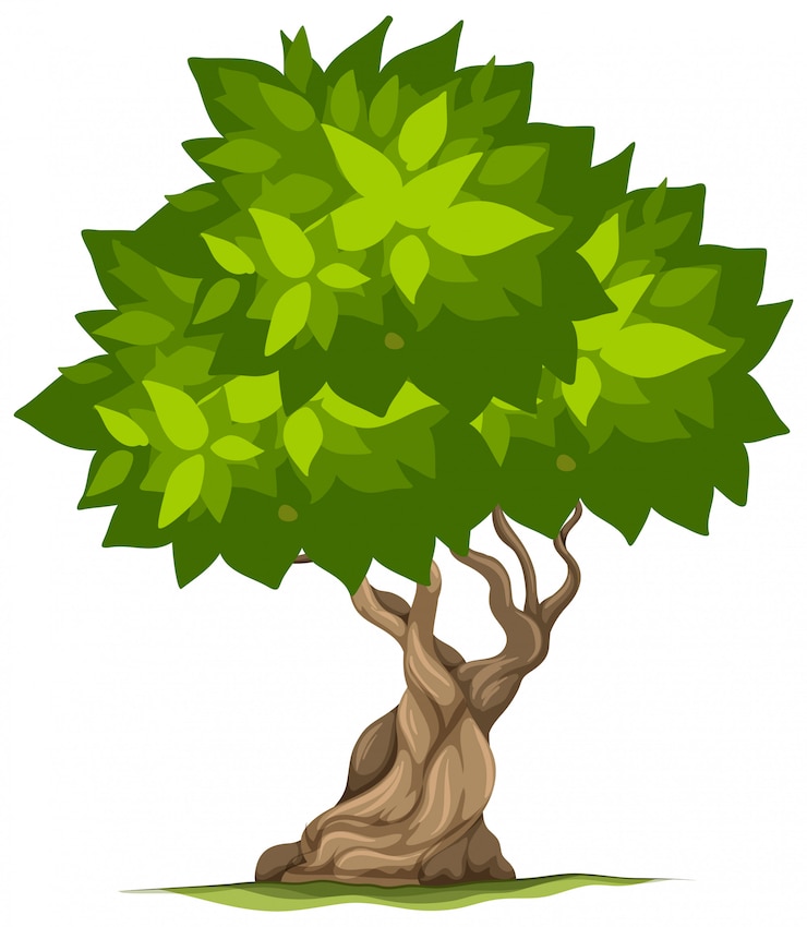 Vector an isolated tree on white background