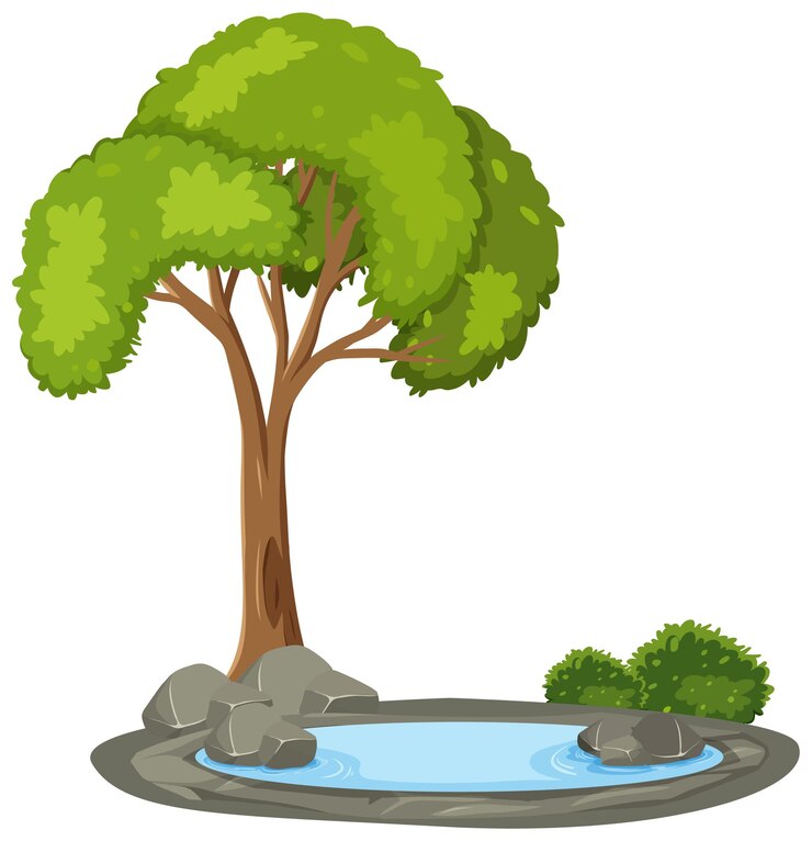 Vector isolated tree with pond on white background