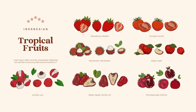 Isolated Tropical fruits illustration Indonesian healthy fruits design element