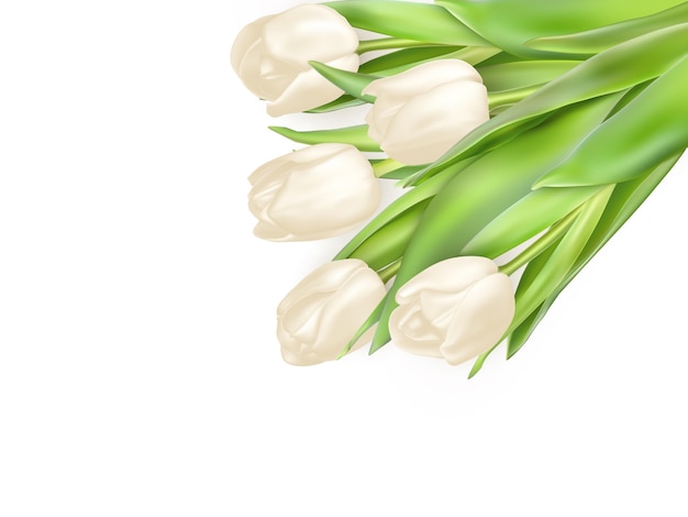 Isolated tulip bouquet on a white background.