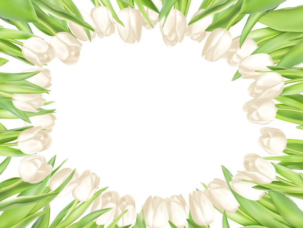 Isolated tulip frame arrangement, on a white background.