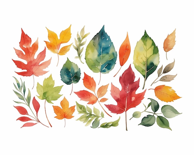 isolated various tropical leaves watercolor 03